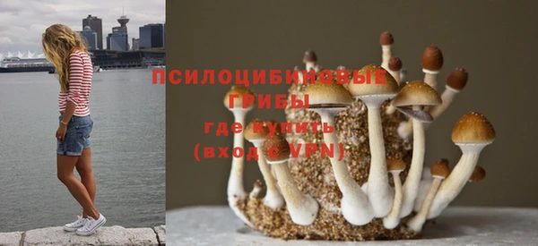 мяу мяу мука Белоозёрский