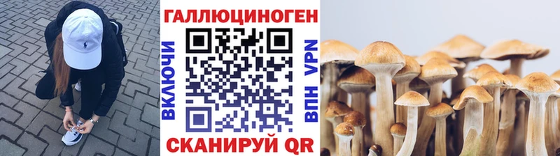 сайты даркнета клад  Обь  Псилоцибиновые грибы MAGIC MUSHROOMS  как найти наркотики 